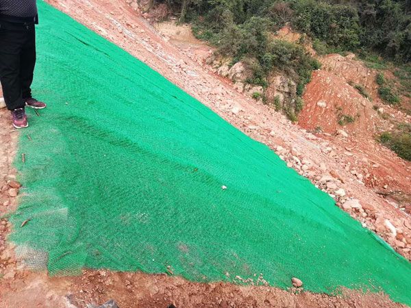 3D Vegetation Net Construction