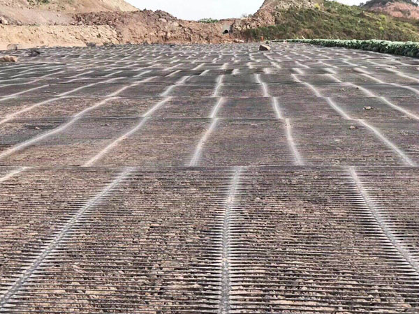 One-way plastic geogrid