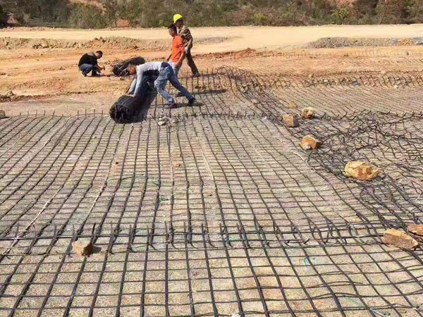 Steel plastic geogrid