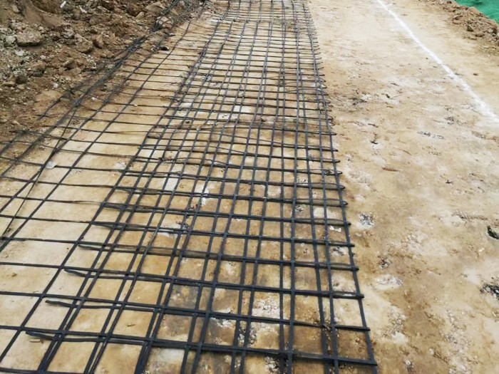 Steel plastic geogrid