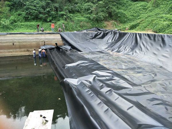 Construction of geomembrane for fish pond culture