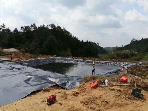 Construction of geomembrane for fish pond culture