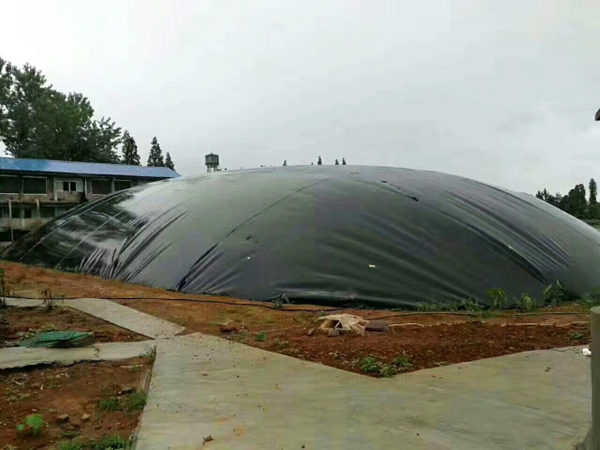 Biogas digester geomembrane anti-seepage project