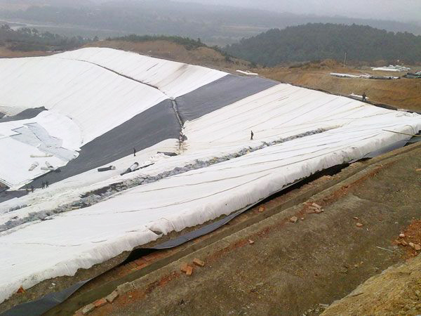 Geotextile construction